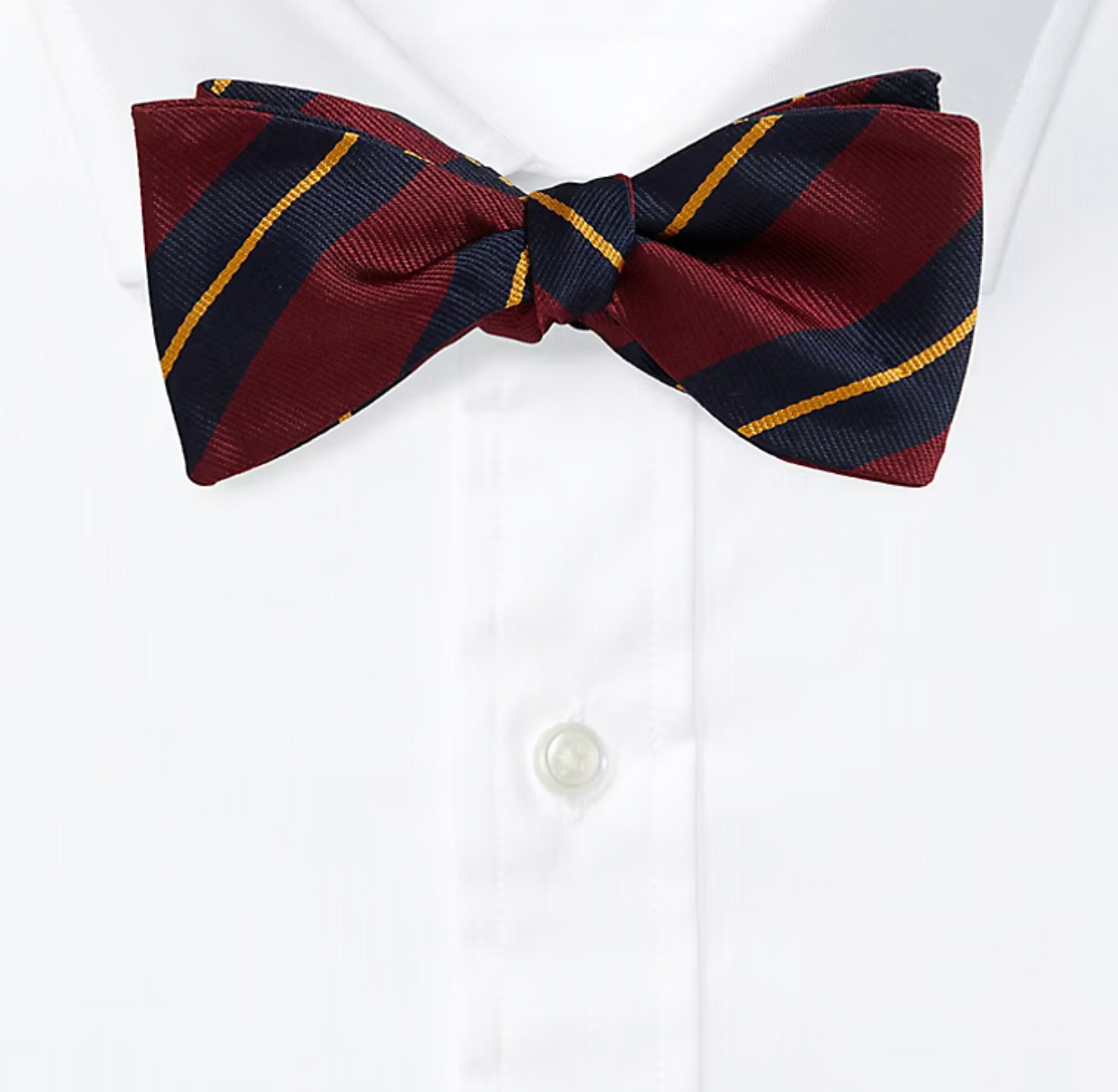 Striped Silk Repp Bow Tie