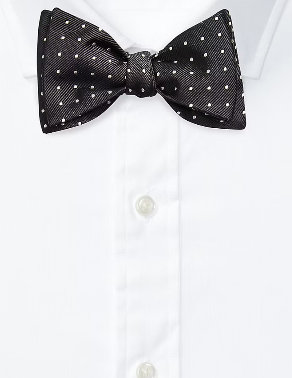 Polka Dot Silk Repp Bow Tie